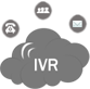 RS TECHVATION IVR services